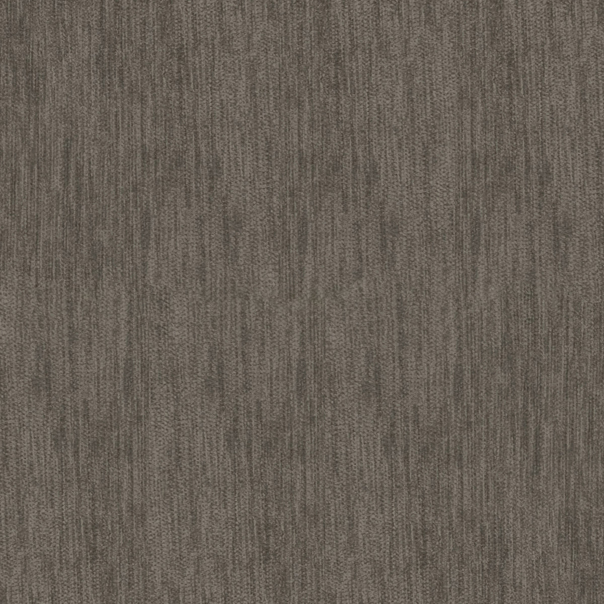 2310 Esmeralda Cocoa