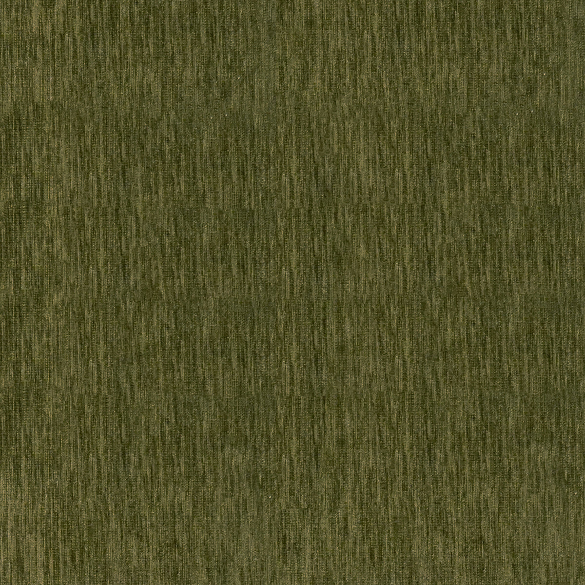 2319 Esmeralda Olive