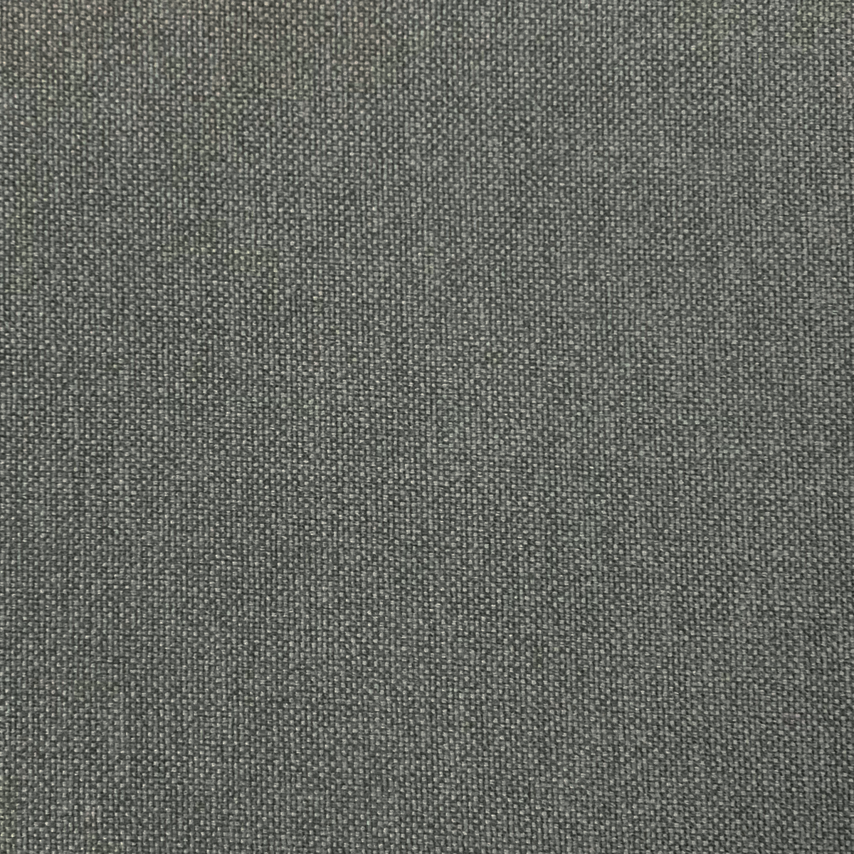 2347 Nolina Graphite