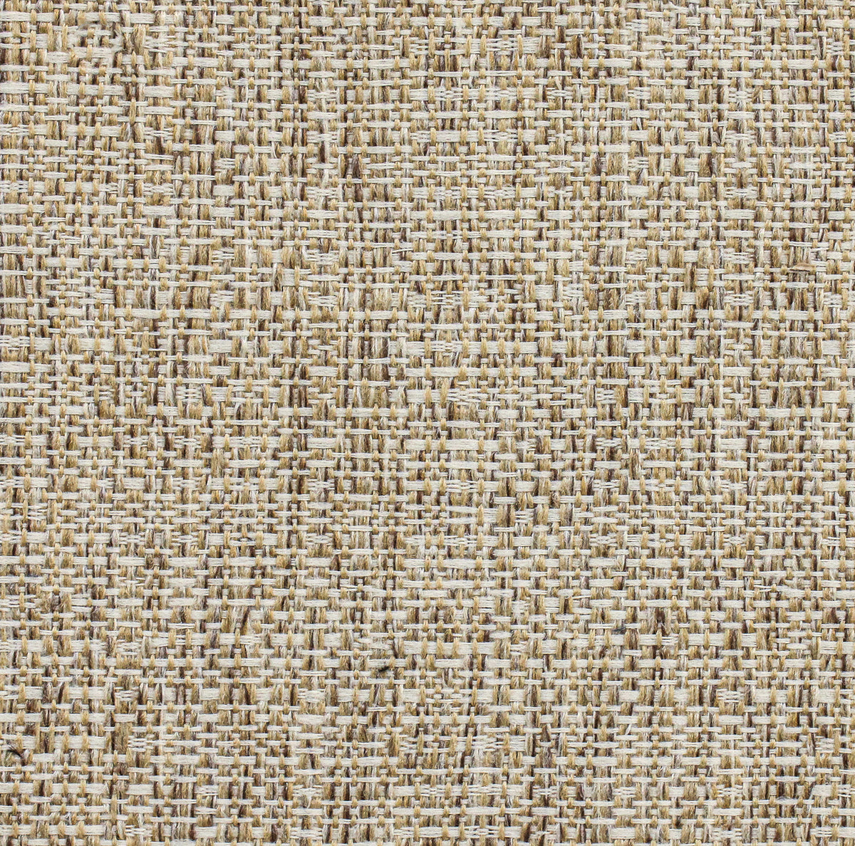 8034 Beta Raffia